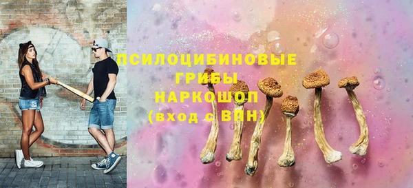 бошки Новозыбков