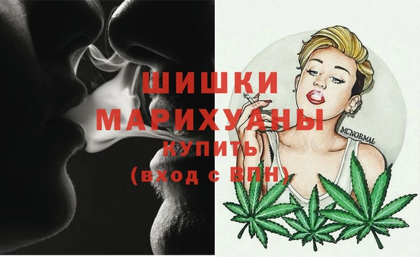 ПСИЛОЦИБИНОВЫЕ ГРИБЫ Новодвинск