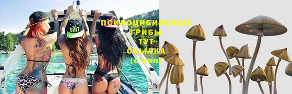 ПСИЛОЦИБИНОВЫЕ ГРИБЫ Новодвинск